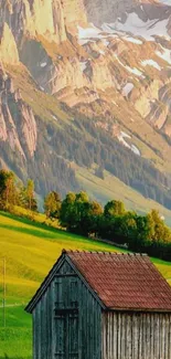 Rustic cabin in lush mountain landscape with vibrant green scenery.