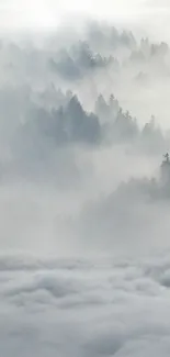 Mountain Cloud Fog Live Wallpaper