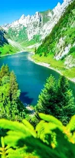 A serene mountain lake surrounded by lush greenery and peaks under a clear blue sky.