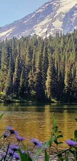 Tranquil mountain lake with forest and clear blue sky.