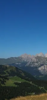 Mountain landscape wallpaper with blue sky and trees.