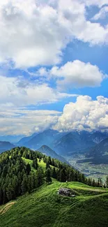 A lush green mountain landscape under a cloudy sky, perfect for phone wallpaper.