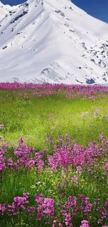 Snow-capped mountain with pink flowers in the foreground under a blue sky.