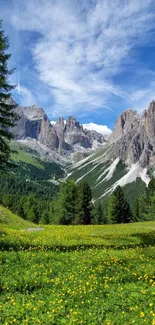A lush green meadow with wildflowers and towering mountains under a clear blue sky.