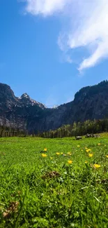 Mountain meadow with blue sky and green grass, ideal for mobile wallpaper.