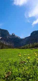 Mountain meadow under blue sky mobile wallpaper showcasing nature's beauty.