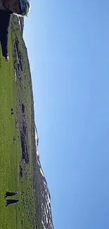 Beautiful mountain meadow under a blue sky.