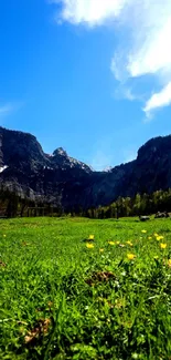 Mountain meadow with blue sky and vibrant grass on a sunny day.