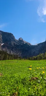 Mountain meadow with blue sky background, perfect for mobile wallpaper.