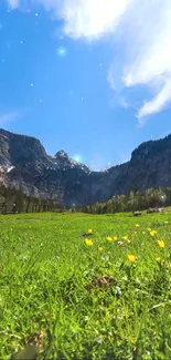 Stunning mountain meadow under a bright blue sky.