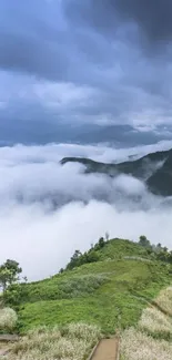 Mountain path leading through misty clouds and lush greenery.