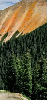 Scenic mountain path with forested slopes and orange peaks.