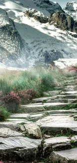 Stone path leading to snow-covered mountains.