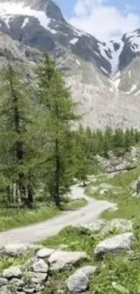 Scenic mountain path with greenery and snowy peaks.