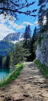 Mountain path with trees and a blue lake view.