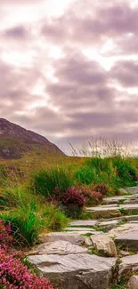 Scenic mountain path with cloudy sky and vibrant purple flowers.