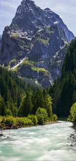 Scenic mountain river with lush forests under a clear blue sky.