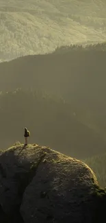 A person stands on a rocky peak overlooking serene olive green mountains.