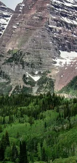 Wallpaper of majestic mountains with lush green forest below.