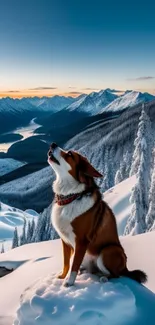 Dog in snowy mountains at sunset, serene view.