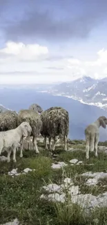 Sheep on a mountain with a serene lake view.