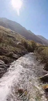 Serene mountain stream with sunlit blue sky and flowing water.