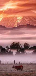 Vibrant sunrise over misty mountain with cow in foreground.