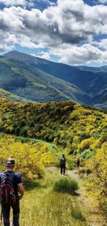 Vibrant mountain trail with hikers under a clear sky.