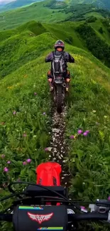 Motorbikes riding on lush green mountain trail.