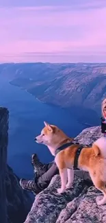 Dog on a cliff with stunning mountain views, perfect for nature lovers.