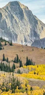 Mountain with yellow and green foliage in autumn.