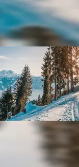 Mountainous Landforms Mountain Winter Live Wallpaper