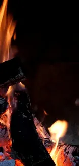 Muscle Bonfire Flame Live Wallpaper