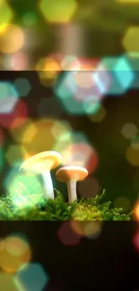 Enchanted mushrooms with glowing bokeh effect in vibrant colors for mobile screen.