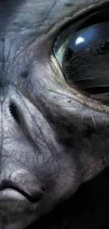 Close-up of a mysterious alien face with a cosmic, textured design.