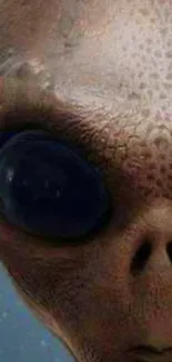 Close-up of alien face, detailed and mysterious.