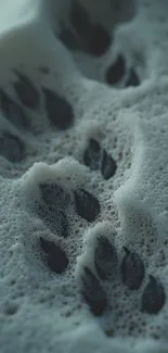Animal footprints surrounded by foamy bubbles.