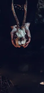 Hands holding a deer skull with antlers in a dark setting.