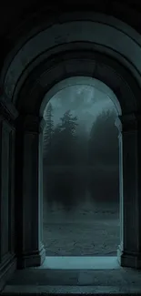 A mysterious stone archway overlooking a misty forest.