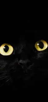 Close-up of a black cat's intense yellow eyes.