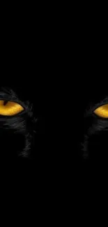 Captivating wallpaper featuring mysterious black cat eyes on a dark background.