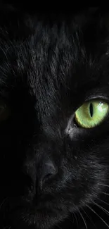 Close-up of a black cat with bright green eyes in a dark setting.