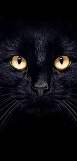 Black cat with piercing yellow eyes on a dark background.