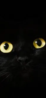 Mysterious black cat with yellow eyes wallpaper.