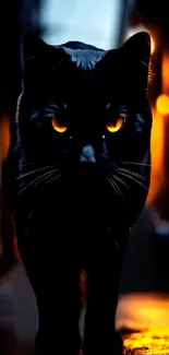 Mysterious black cat with glowing eyes wallpaper.