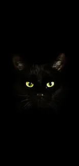 Mysterious black cat with glowing green eyes on black background.