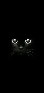 Mysterious black cat with bright eyes in a dark wallpaper.