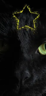 Close-up of black cat with yellow star on forehead.