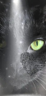 Black cat with green eyes in spotlight wallpaper.