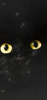 Black cat with striking yellow eyes on a dark background wallpaper.